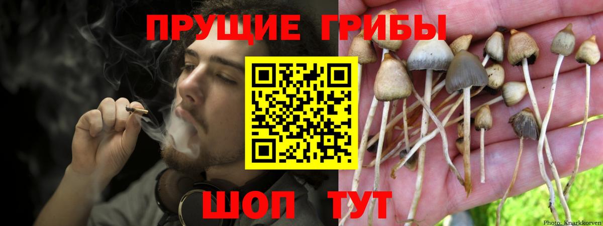 Сафоново  Галлюциногенные грибы мухоморы  Вход с VPN 